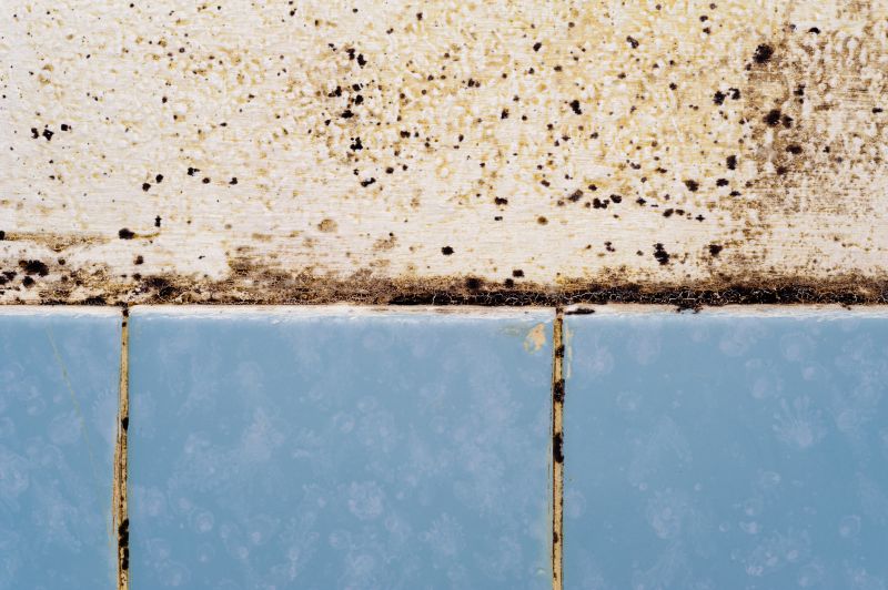 Mold and Mildew Removal